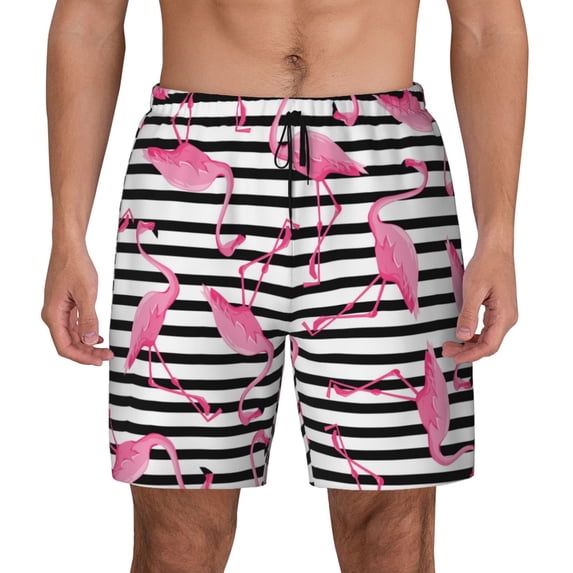 Daiia Flamingos Mens Swim Trunks Swim Shorts Quick Dry Swim Shorts with Mesh Lining Pockets-Large
