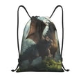 thumbnail image 1 of Daiia Forest Stone-Colored Dragon Pattern Drawstring Backpack, Gym Bag, Lightweight Backpack, Water-Resistant Bag Travel Sports Backpack, Fitness Bag, Yoga Bag-Small, 1 of 6