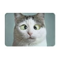 thumbnail image 1 of Daiia Funny Cat Front Door Mat, Heavy Duty Durable Welcome Mat for Outdoor Indoor, Dirt Trapper Waterproof Super Absorbent Door Mat, 16" x 24", 1 of 9
