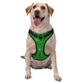 thumbnail image 1 of Daiia Green Glitterdog Harness, No-Pull Pet Harnessith 2 Leash Clips,Cat Harness And Leash Set,Step In Dog Harness, For Large Dogs, 1 of 9