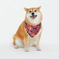 thumbnail image 1 of Daiia Hand Drawn Tomatoes Print Pet Scarf, Adjustable Pet Bandana, Reflective Dog Bandana with Buckle, Durable Pet Accessory Fashionable Pet Neckwear-X-Large, 1 of 7
