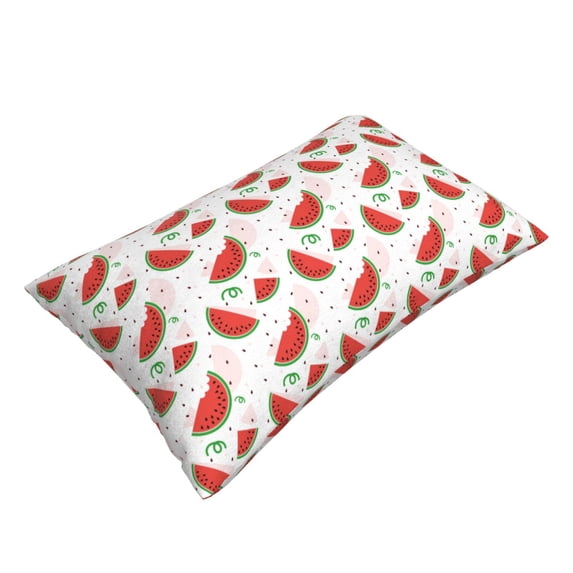 Daiia Hand Drawn Watermelon Bedding Waterproof Pillow Protector Zippered Queen – Bed Bug Proof Pillow Encasement-14"x20"