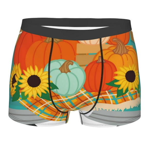 Daiia Hello Fall Farm Truck Men's Underwear Boxer Briefs, Cotton Stretch Moisture-Wicking Underwear-X-Large