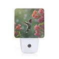 Daiia Humming Bird 1 Pattern Plugin LED Backlit Night Light with