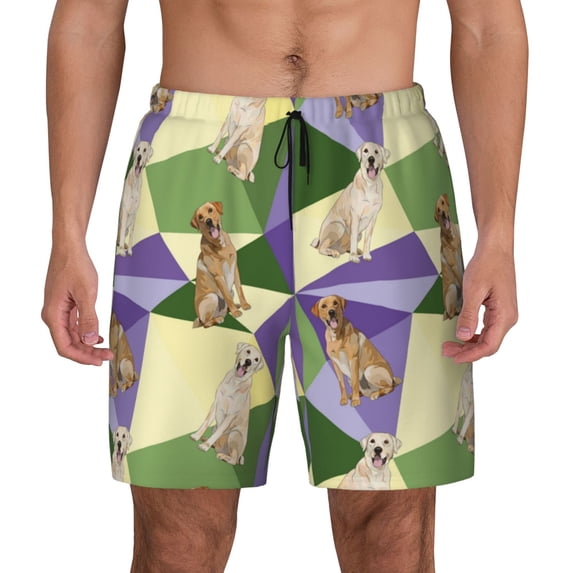 Daiia Labrador Retriever Dog Mens Swim Trunks Swim Shorts Quick Dry Swim Shorts with Mesh Lining Pockets-X-Large