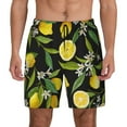 thumbnail image 1 of Daiia Lemon Fruits Flowers Leaves Mens Swim Trunks Swim Shorts Quick Dry Swim Shorts with Mesh Lining Pockets-Medium, 1 of 9
