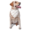 thumbnail image 1 of Daiia Leopard Print Pattern Pet Scarf for Dogs and Cats – Soft & Breathable Bandana, Comfortable Pet Accessory for Everyday Wear, 1 of 6