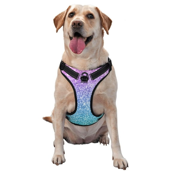 Daiia Multicolor Glitterdog Harness, No-Pull Pet Harnessith 2 Leash Clips,Cat Harness And Leash Set,Step In Dog Harness, For Large Dogs