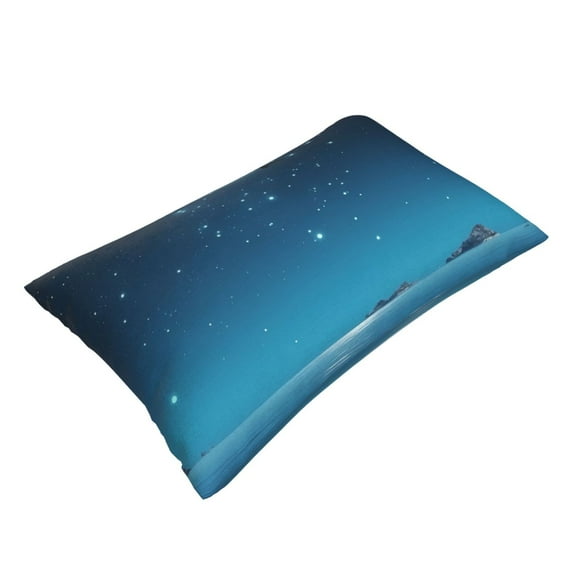 Daiia Night Sky Moon Dolphin Bedding Waterproof Pillow Protector Zippered Queen – Bed Bug Proof Pillow Encasement-14"x20"