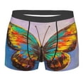 Daiia Oil Painting Beautiful Butterfly Men's Underwear Boxer Briefs