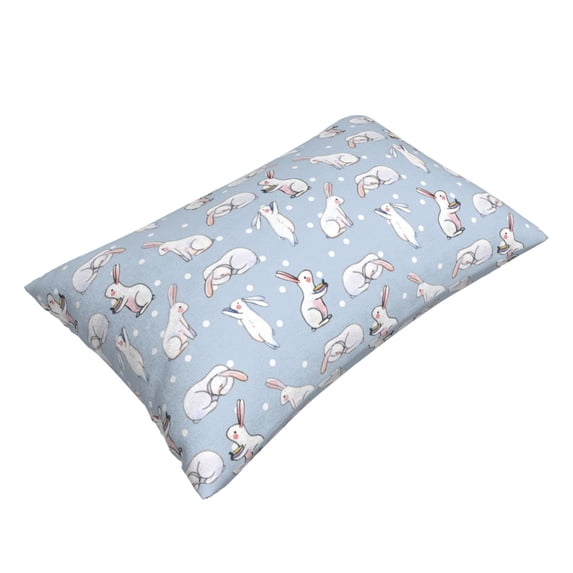 Daiia Rabbit Is Eating Carrots Bedding Waterproof Pillow Protector Zippered Queen – Bed Bug Proof Pillow Encasement-16"x24"
