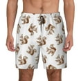 thumbnail image 1 of Daiia Retro Squirrel Mens Swim Trunks Swim Shorts Quick Dry Swim Shorts with Mesh Lining Pockets-Medium, 1 of 9