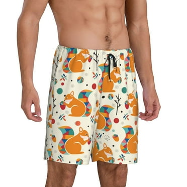 Daiia Squirrel With Colorful Tail Mens Woven Stretch Pajama Short,Short Pajama Pants-Medium