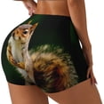 thumbnail image 1 of Daiia Squirrels Eating Peanuts On The Tree Pattern Women's Workout Shorts Biker Shorts - High Waisted Workout Spandex Tummy Control Gym Running Yoga Shorts-Large, 1 of 8