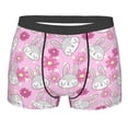 thumbnail image 1 of Daiia Sunflower Rabbit Men's Underwear Boxer Briefs, Cotton Stretch Moisture-Wicking Underwear-XX-Large, 1 of 9