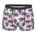 thumbnail image 1 of Daiia Tropics Palm Trees Men's Underwear Boxer Briefs, Cotton Stretch Moisture-Wicking Underwear-XX-Large, 1 of 9