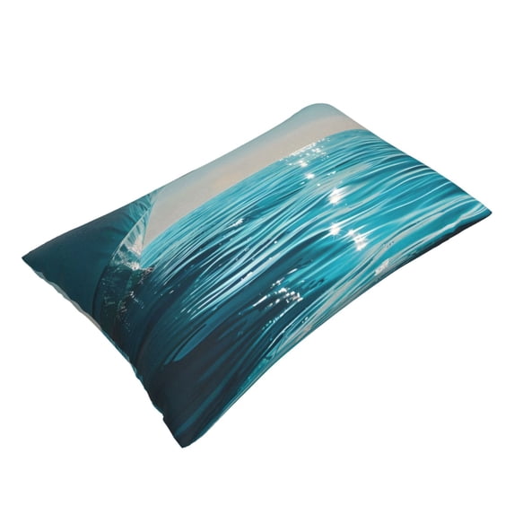 Daiia Turquoise Ocean Reflection Bedding Waterproof Pillow Protector Zippered Queen – Bed Bug Proof Pillow Encasement-14"x20"