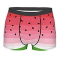 thumbnail image 1 of Daiia Watermelon Men's Underwear Boxer Briefs, Cotton Stretch Moisture-Wicking Underwear-Medium, 1 of 9