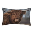 thumbnail image 1 of Daiia Yak Bedding Waterproof Pillow Protector Zippered Queen – Bed Bug Proof Pillow Encasement-16"x24", 1 of 9
