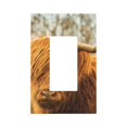 thumbnail image 1 of Daiia Yak Pattern Decorator Wall Plate Child Safe Outlet Cover, Switch and Outlet Covers,Size 1-Gang 5.0" x3.0" , Polycarbonate Thermoplastic-Style U, 1 of 6
