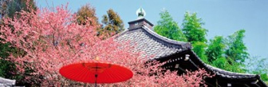 Daikaku-Ji Kyoto Japan Canvas Art - Panoramic Images (36 x 12)