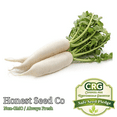 thumbnail image 1 of Daikon Radish Seeds | 100-1000+ Seeds | Non-GMO Radish Seeds from USA, 1 of 1