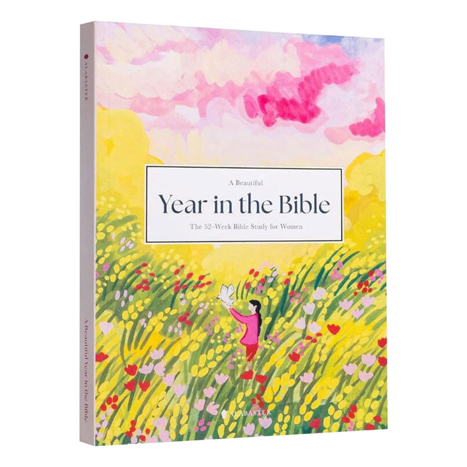 Daily Deals Clearance! Adoragnes Spiral Bible A Year in the Bible The