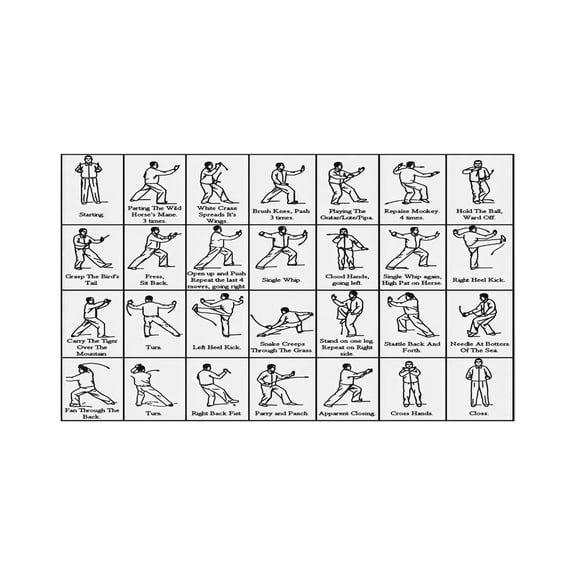 Daily Practice Guide Yang Style 24 Form Tai Chi Poster Educational Exercise Chart Aesthetic Martial Arts Print for Home Office