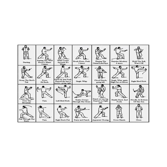 Daily Practice Guide Yang Style 24 Form Tai Chi Poster Educational Exercise Chart Aesthetic Martial Arts Print for Home Office