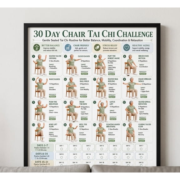 DailyMood 30 Day Seated Challenge Chair Tai Chi Workout Poster Unframed Paper Print