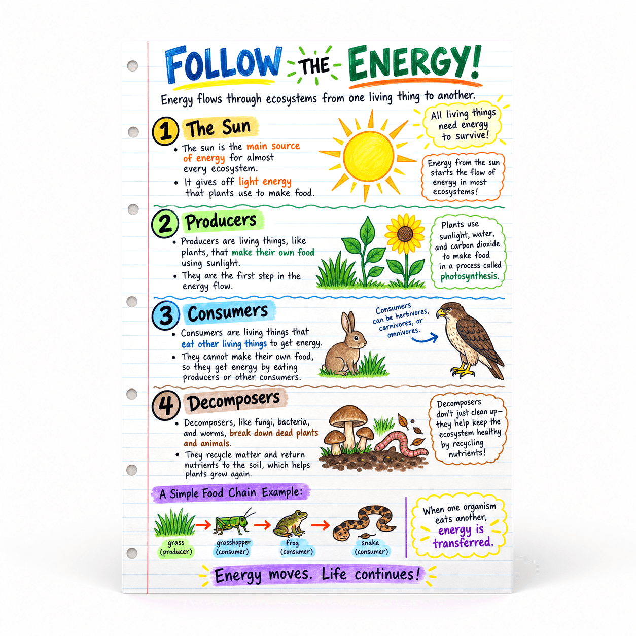 DailyMood 5th Grade Science Energy Flow and Matter Cycles Unframed ...