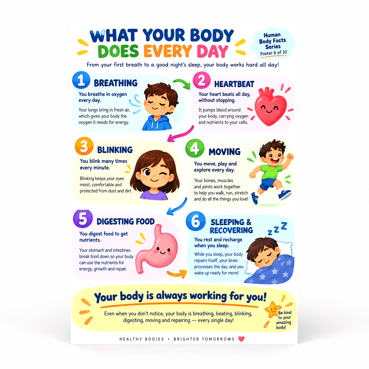 DailyMood Human Anatomy Poster, Body Functions Infographic, Unframed ...