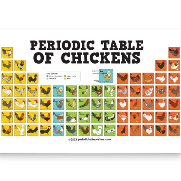 DailyMood Poultry Chicken Breeds Identification Chart Wall Art Poster No Frame Farmhouse Style