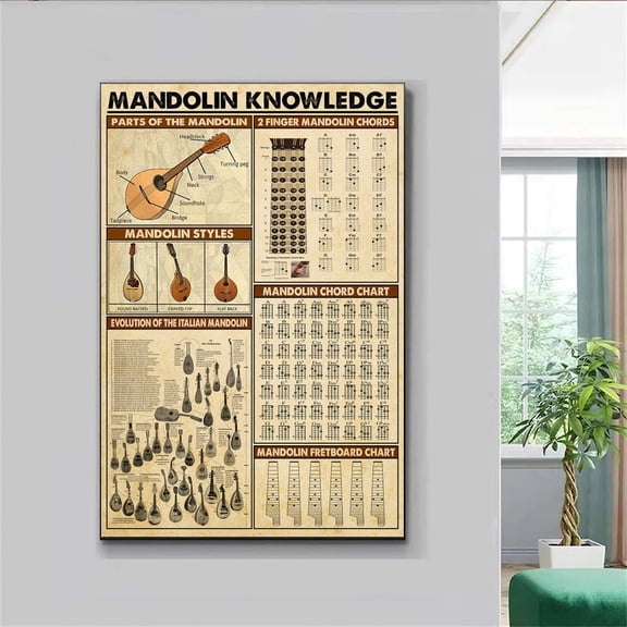 DailyMood Vintage Mandolin Chord Chart Anatomy Knowledge Reference Poster Frameless
