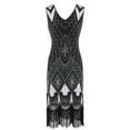 thumbnail image 1 of DailyTrove Women's Embroidered Fringe Dress-Sleeveless-Midi-Polyester-for Retro Event/Cocktail Party-Intricate Embroidery, 1 of 4