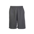 thumbnail image 1 of DailyWear Mens Athletic Shorts, 1 of 5