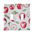 thumbnail image 1 of Dailycode Light Switch Plate Covers 2 Gang Wall Plate Plastics Outlet Covers for Kitchen Home Office Decor Apple and Leaf, 1 of 8