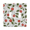 thumbnail image 1 of Dailycode Light Switch Plate Covers 2 Gang Wall Plate Plastics Outlet Covers for Kitchen Home Office Decor Cherry with Leaf, 1 of 8