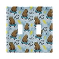 thumbnail image 1 of Dailycode Light Switch Plate Covers 2 Gang Wall Plate Plastics Outlet Covers for Kitchen Home Office Decor Cool Capybara on Skateboard, 1 of 8