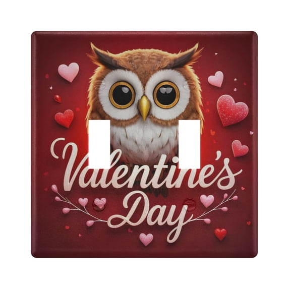 Dailycode Light Switch Plate Covers 2 Gang Wall Plate Plastics Outlet Covers for Kitchen Home Office Decor Cute Owl and Heart