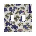 thumbnail image 1 of Dailycode Light Switch Plate Covers 2 Gang Wall Plate Plastics Outlet Covers for Kitchen Home Office Decor Grape Wine Leaf Estate, 1 of 8