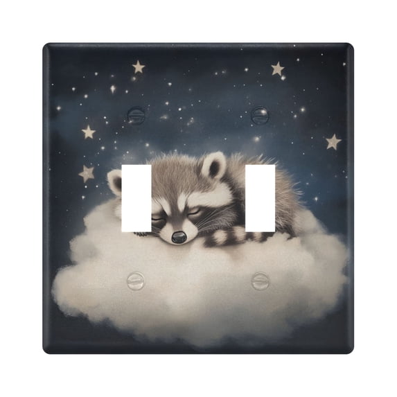 Dailycode Light Switch Plate Covers 2 Gang Wall Plate Plastics Outlet Covers for Kitchen Home Office Decor Raccoon on Clould