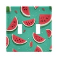 thumbnail image 1 of Dailycode Light Switch Plate Covers 2 Gang Wall Plate Plastics Outlet Covers for Kitchen Home Office Decor Various Watermelon, 1 of 8
