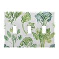 thumbnail image 1 of Dailycode Light Switch Plate Covers 3 Gang Wall Plate Plastics Outlet Covers for Kitchen Home Office Decor Broccoli Arugula Fennel, 1 of 8