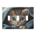 thumbnail image 1 of Dailycode Light Switch Plate Covers 3 Gang Wall Plate Plastics Outlet Covers for Kitchen Home Office Decor Cute Kitten Wrapped in Blanket, 1 of 8