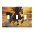 thumbnail image 1 of Dailycode Light Switch Plate Covers 3 Gang Wall Plate Plastics Outlet Covers for Kitchen Home Office Decor Horse Galloping on Beach under Sunset, 1 of 8