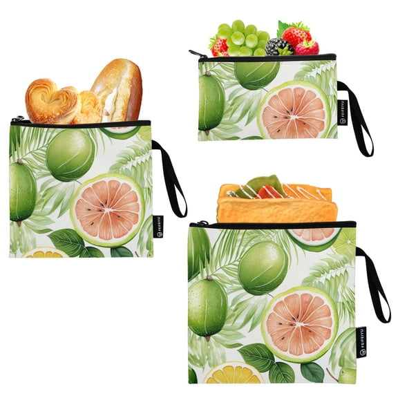 Dailycode Reusable Ziploc Bags Leakproof Sandwich Snack Freezer Bags Watermelon Orange Leaf 3 pack