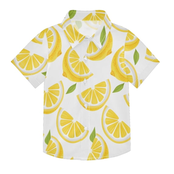 Dailycode Small Short Sleeve Button Down Shirts Lemon Slice and Leaf Casual Shirt 3-10 Years