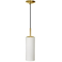 Dainolite 1LT Incandescent Pendant, AGB, WH Glass