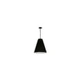 thumbnail image 1 of Dainolite - Anaya - 1 Light Medium Pendant-Matte Black Finish-Black  Shade Color, 1 of 3